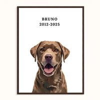 Memorial Pet Portrait With Halo