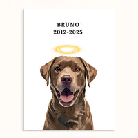 Memorial Pet Portrait With Halo