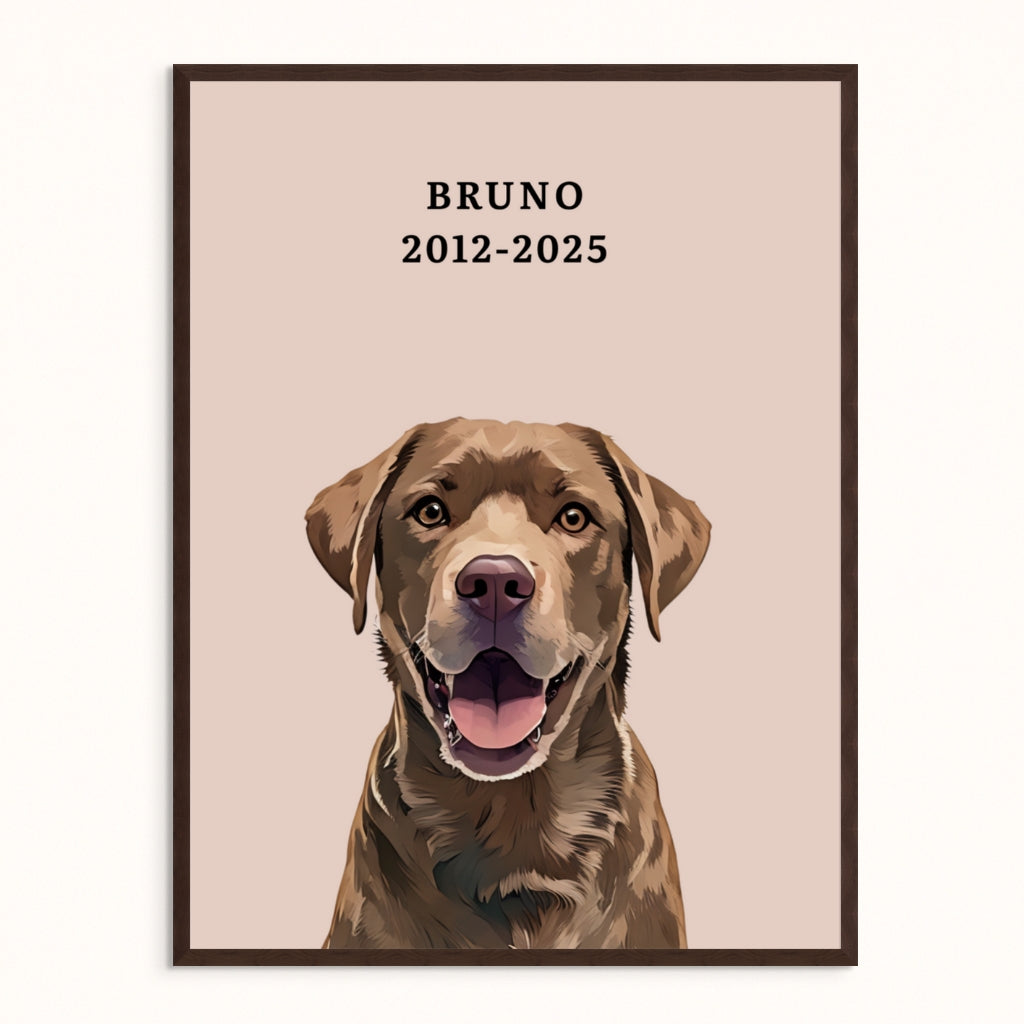Memorial Pet Portrait With Halo